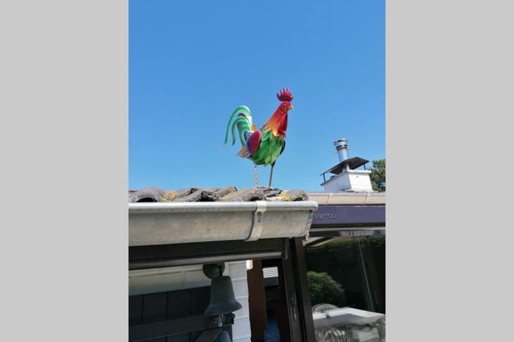 Sprookjesachtig Verblijven In Sunparks Oostduinkerke Exterior foto